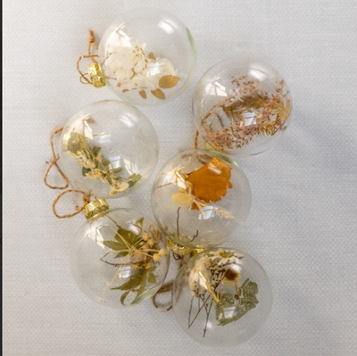 Dried Botanicals Glass Ball Ornament | Set of 6