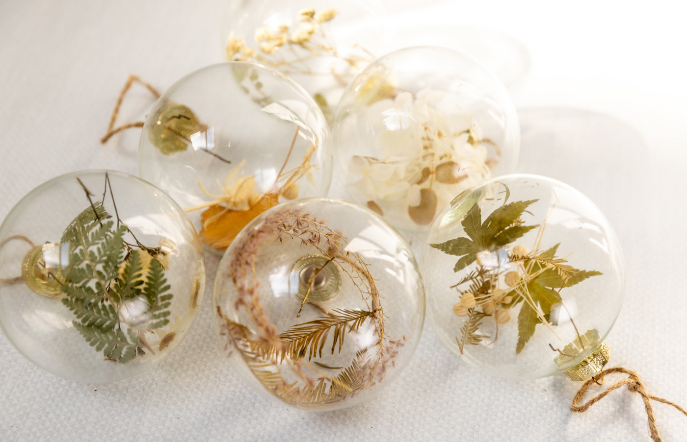 Dried Botanicals Glass Ball Ornament | Set of 6