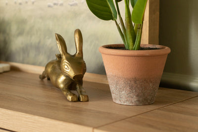 Gold Sprawling Bunny