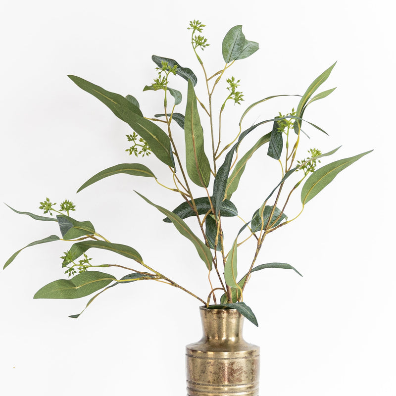 Seeded Eucalyptus Branch