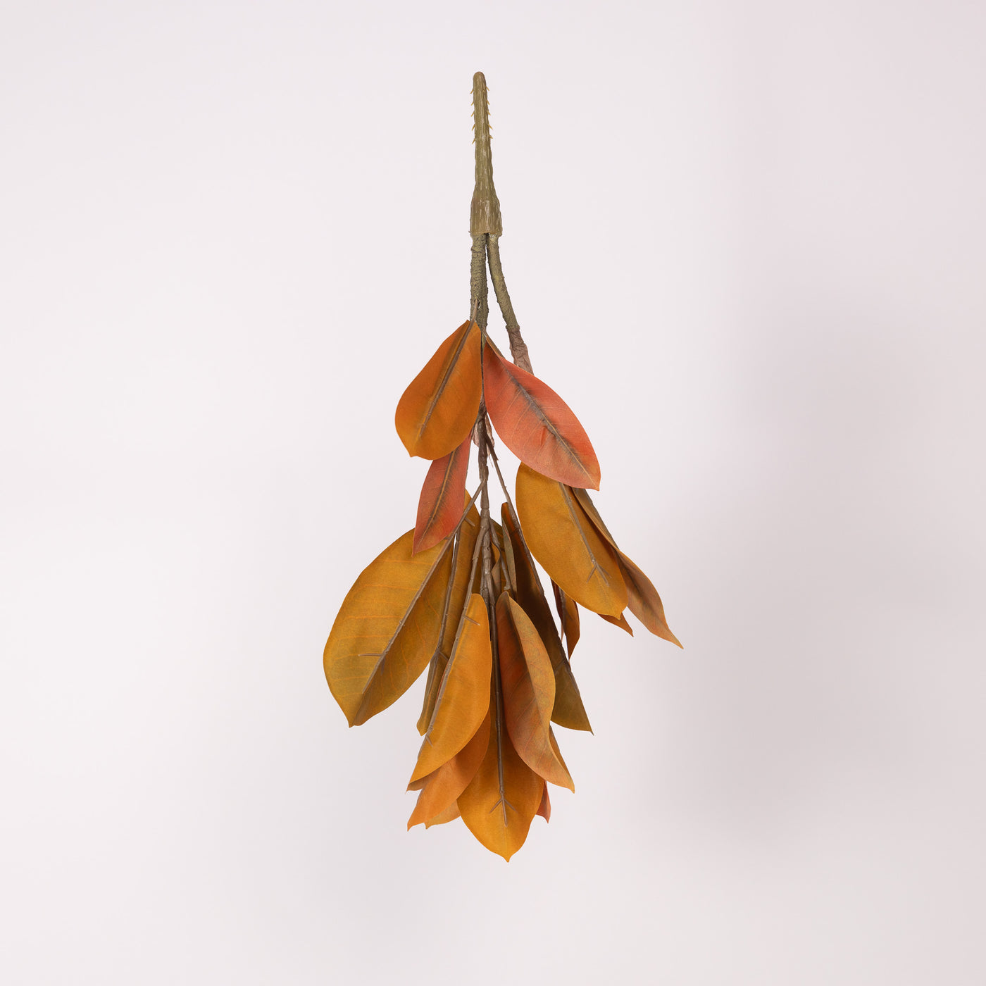 Catalpa Bush | 2 Styles