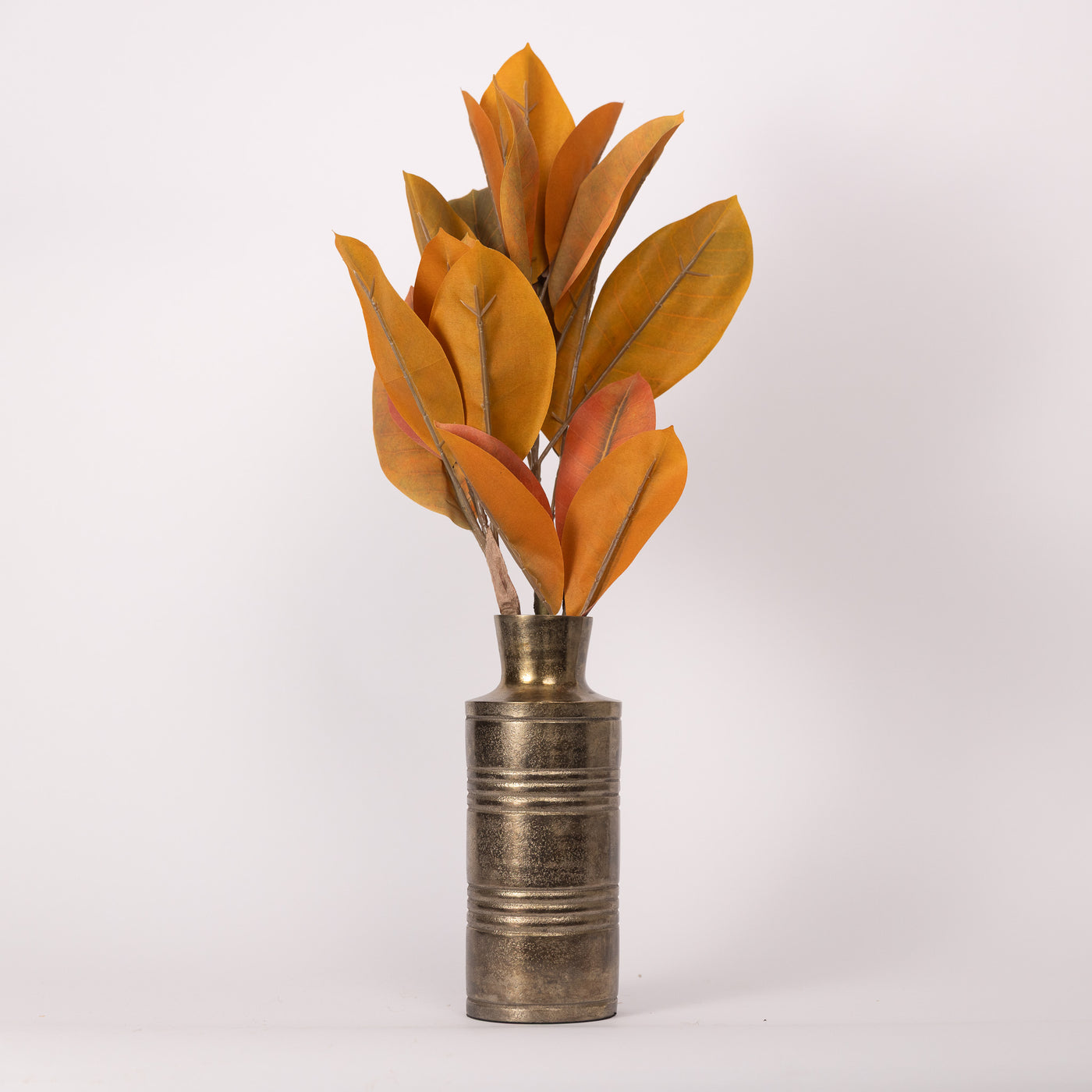 Catalpa Bush | 2 Styles