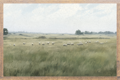 Sheep in the Meadow