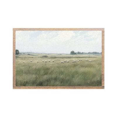 Sheep in the Meadow