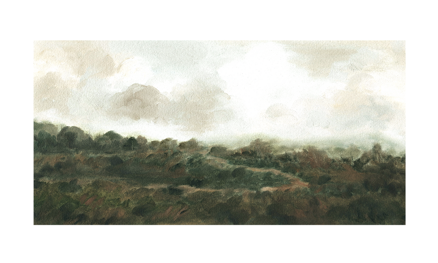 Wandering Trails | Anee Shah