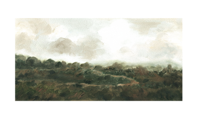 Wandering Trails | Anee Shah