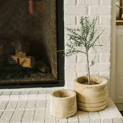 Carved Wooden Planter | 2 Sizes