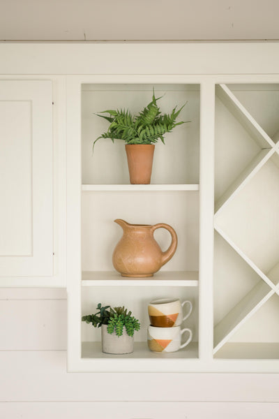 Terracotta Potted Fern