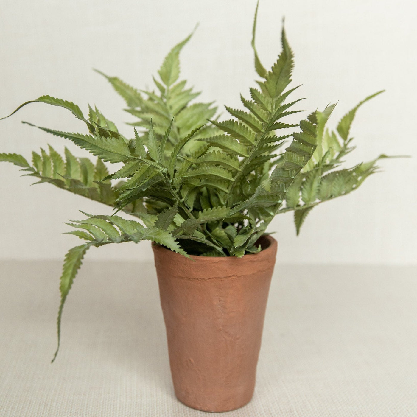 Terracotta Potted Fern