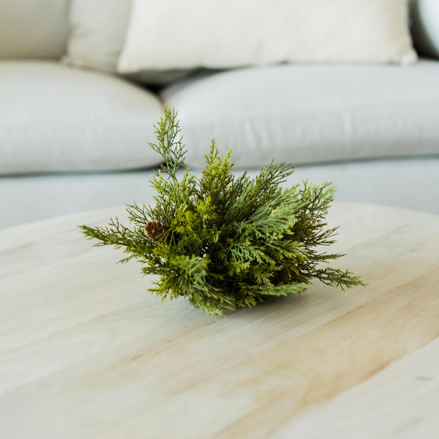Cedar Greenery | Half Sphere or Garland