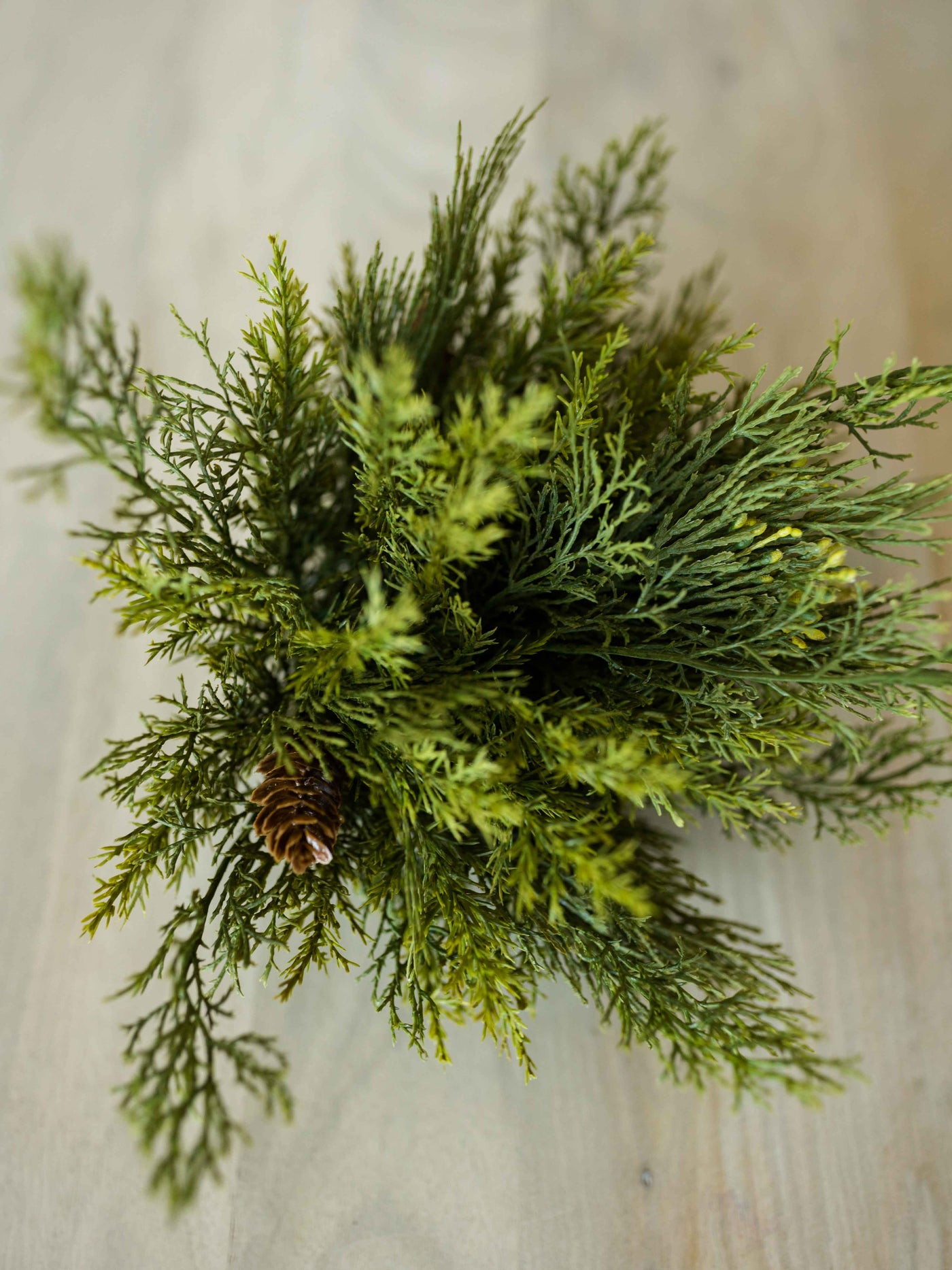 Cedar Greenery | Half Sphere or Garland