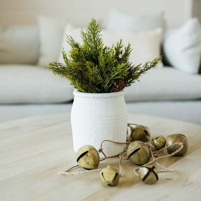 Cedar Greenery | Half Sphere or Garland