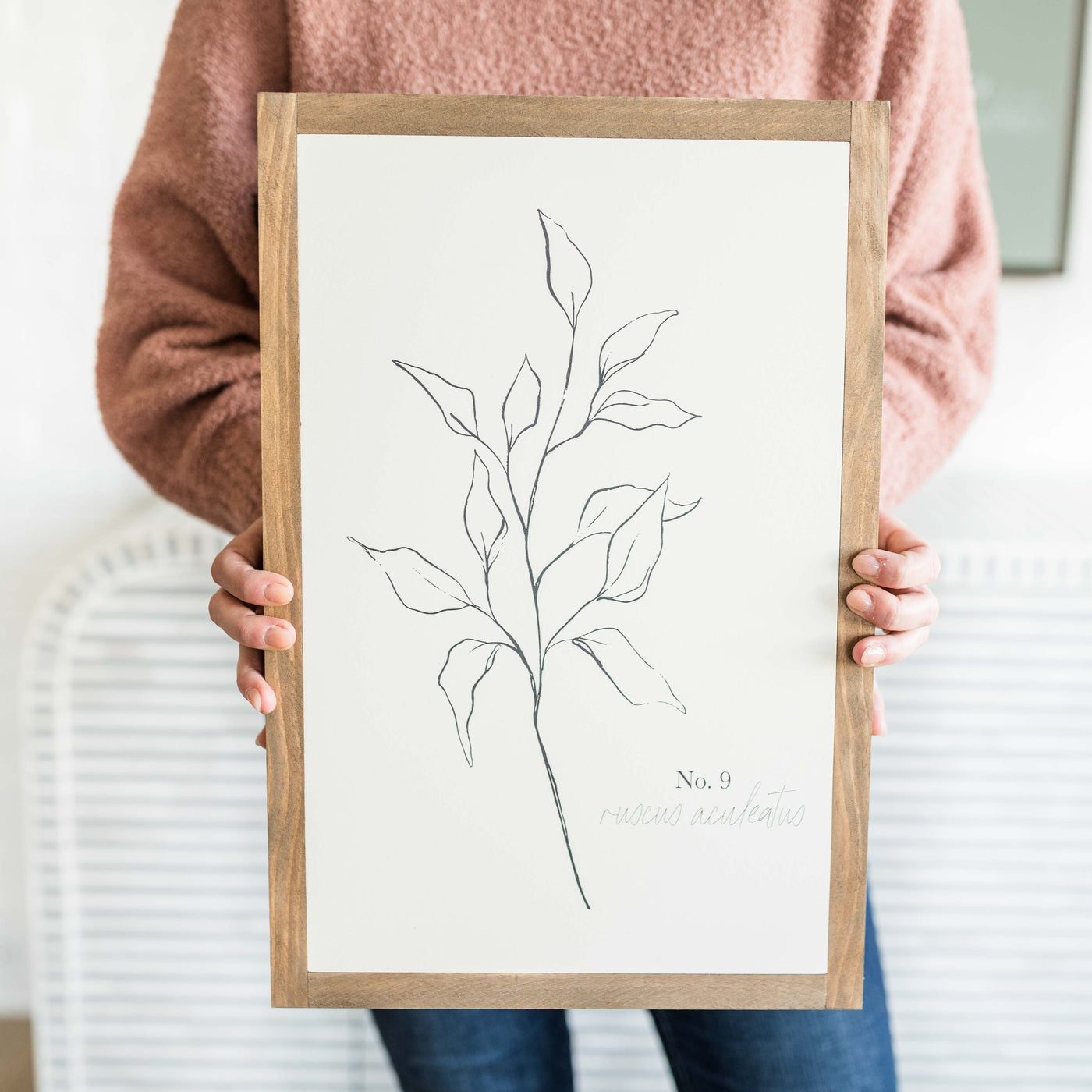 Ruscus Botanical