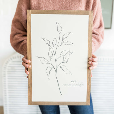 Ruscus Botanical